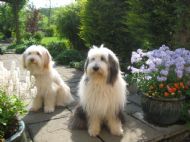 Chloe & Freya 07.05.2011